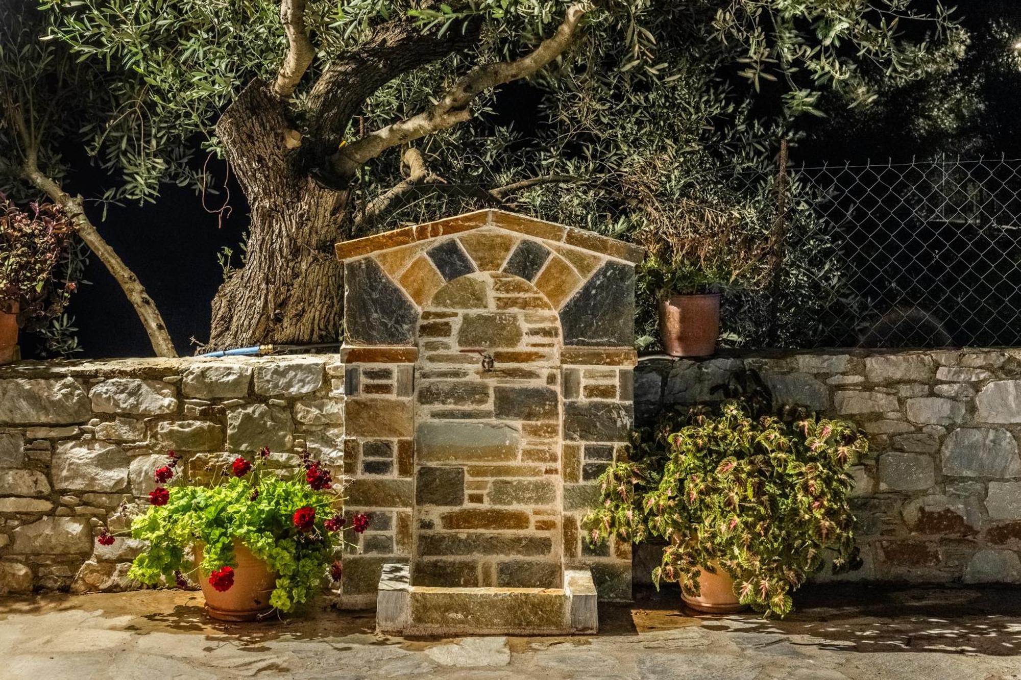 Villa Eleonora'S à Skopelos Extérieur photo